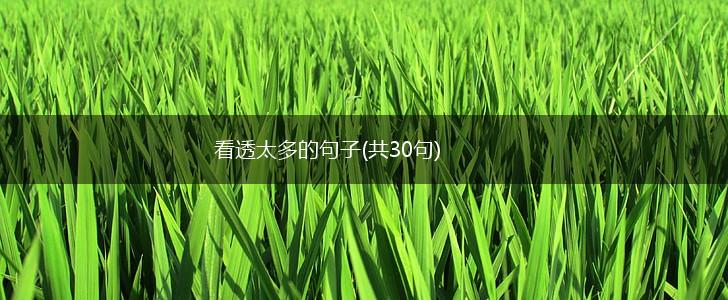 看透太多的句子(共30句),第1张