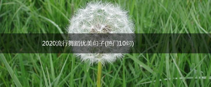 2020流行舞蹈优美句子(热门10句),第1张