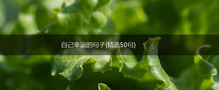 自己幸运的句子(精选50句),第1张