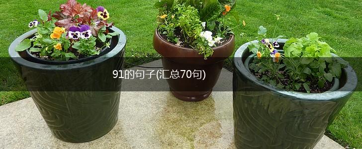 91的句子(汇总70句),第1张
