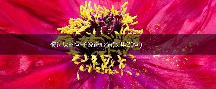 被讨厌的句子说说心情(实用20句),第1张