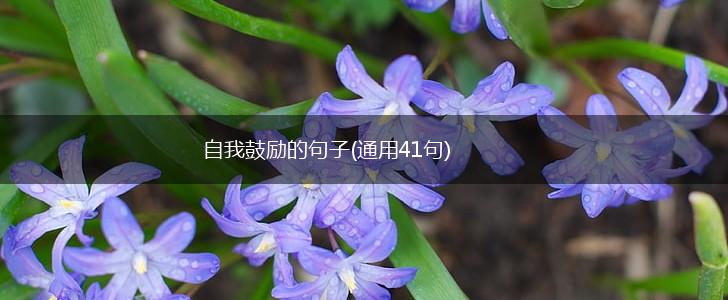 自我鼓励的句子(通用41句),第1张