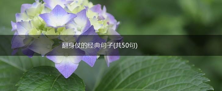 翻身仗的经典句子(共50句),第1张