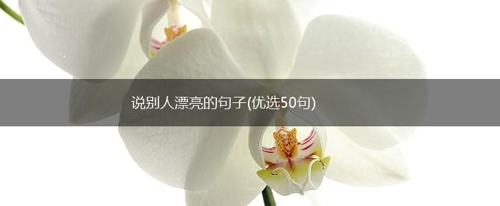 说别人漂亮的句子(优选50句),第1张