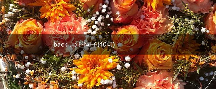 back up 的句子(40句),第1张