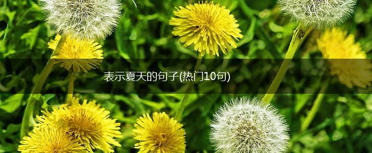 表示夏天的句子(热门10句),第1张