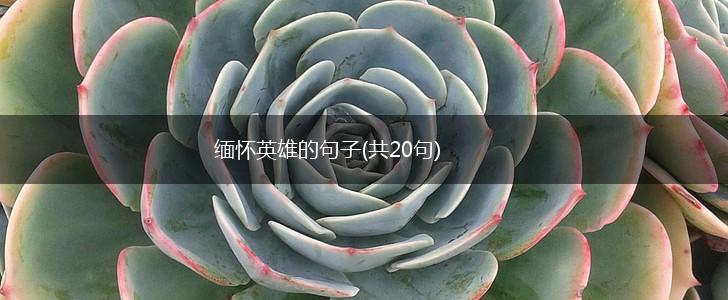缅怀英雄的句子(共20句),第1张