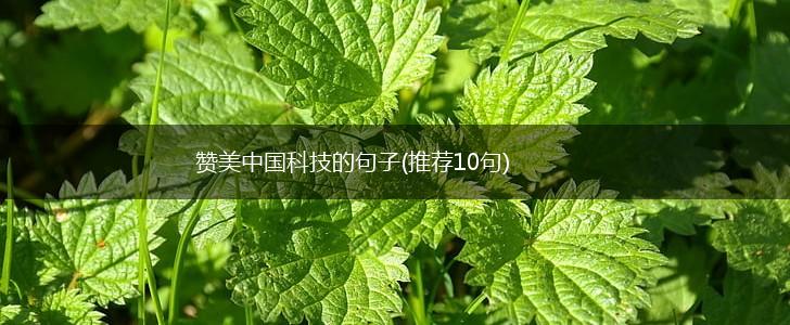 赞美中国科技的句子(推荐10句),第1张