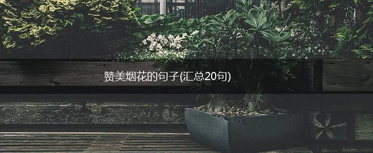 赞美烟花的句子(汇总20句),第1张