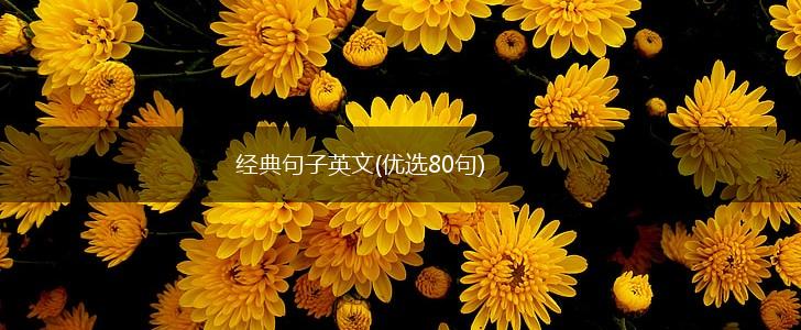 经典句子英文(优选80句),第1张