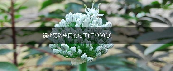 祝小男孩生日的句子(汇总50句),第1张