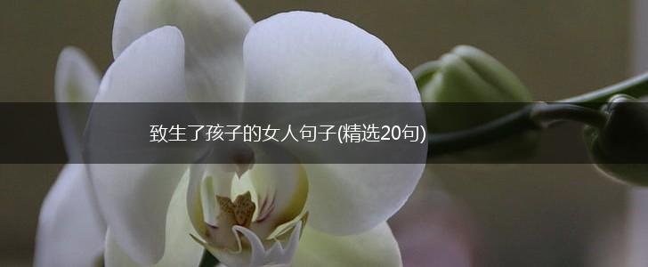 致生了孩子的女人句子(精选20句),第1张