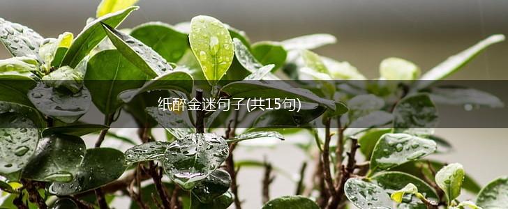 纸醉金迷句子(共15句),第1张