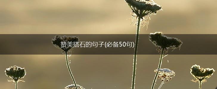 赞美搭石的句子(必备50句),第1张