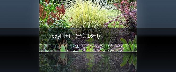 cqy的句子(合集16句),第1张