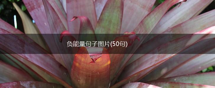 负能量句子图片(50句),第1张