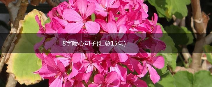 8字暖心句子(汇总15句),第1张