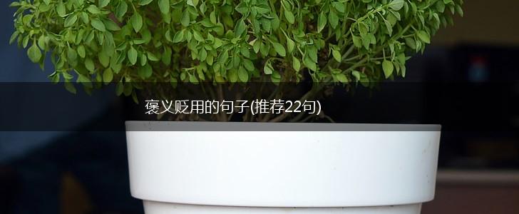 褒义贬用的句子(推荐22句),第1张