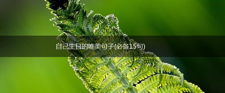 自己生日的唯美句子(必备15句),第1张