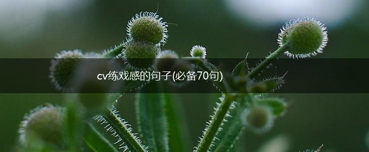 cv练戏感的句子(必备70句),第1张