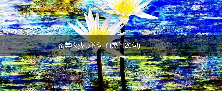 赞美收费员的句子(热门20句),第1张