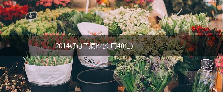 2014好句子摘抄(实用40句),第1张