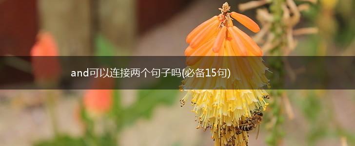 and可以连接两个句子吗(必备15句),第1张