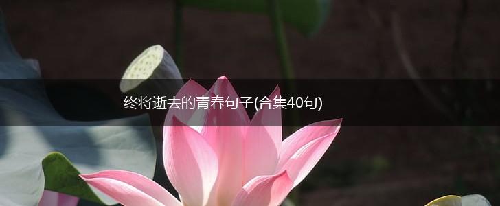 终将逝去的青春句子(合集40句),第1张