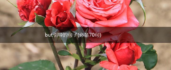 but引导的句子(必备70句),第1张