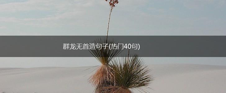 群龙无首造句子(热门40句),第1张