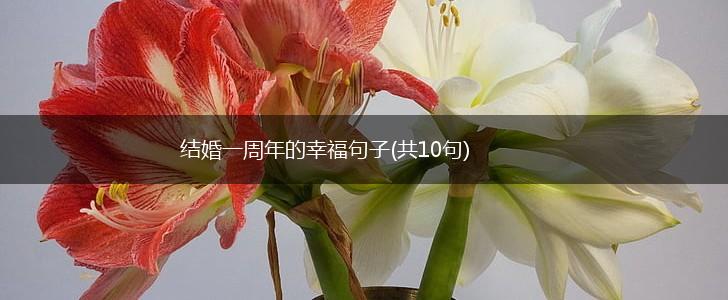 结婚一周年的幸福句子(共10句),第1张