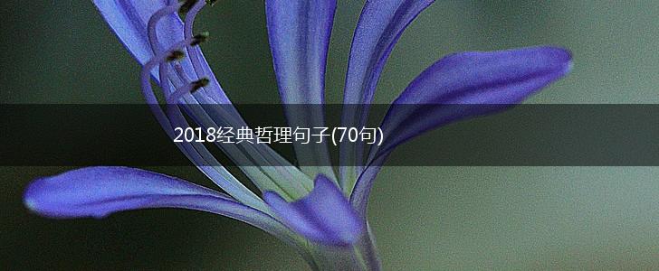 2018经典哲理句子(70句),第1张