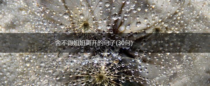 舍不得姐姐离开的句子(30句),第1张