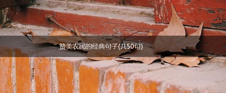 赞美农民的经典句子(共50句),第1张