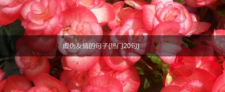 虚伪友情的句子(热门20句),第1张