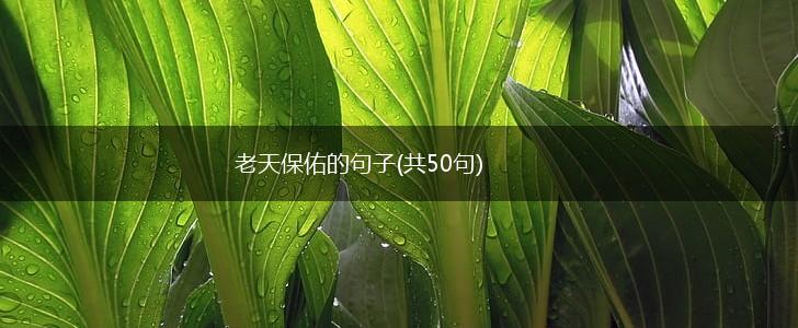 老天保佑的句子(共50句),第1张