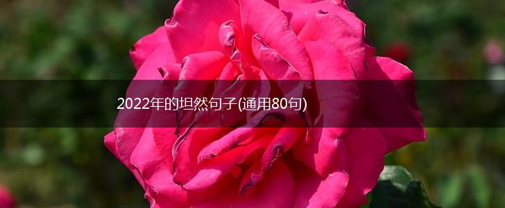 2022年的坦然句子(通用80句),第1张