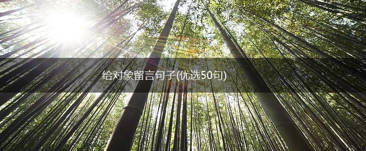 给对象留言句子(优选50句),第1张