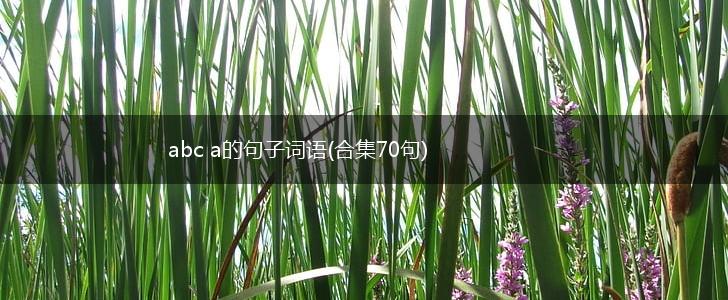 abc a的句子词语(合集70句),第1张