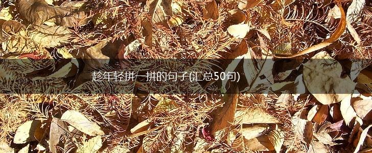 趁年轻拼一拼的句子(汇总50句),第1张
