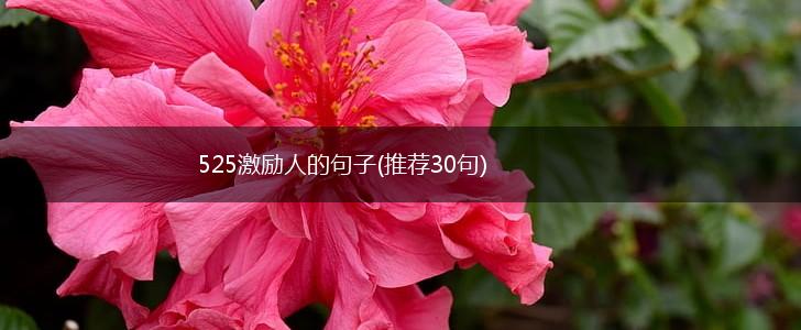 525激励人的句子(推荐30句),第1张