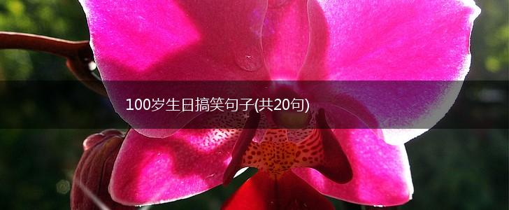 100岁生日搞笑句子(共20句),第1张