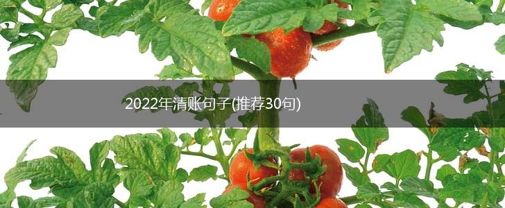 2022年清账句子(推荐30句),第1张