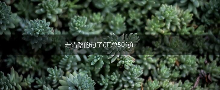 走错路的句子(汇总50句),第1张