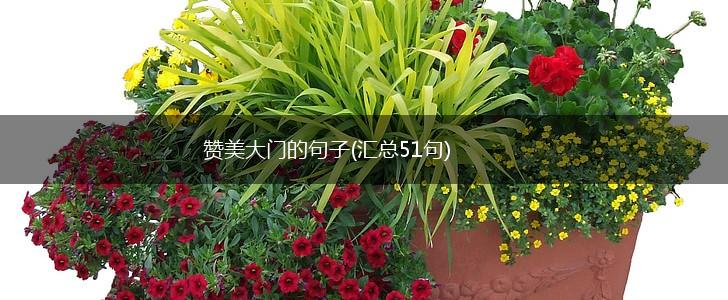 赞美大门的句子(汇总51句),第1张 赞美大门的句子(汇总51句),第1张