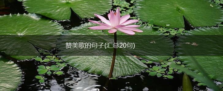 赞美歌的句子(汇总20句),第1张