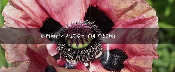 觉得自己不配被爱句子(汇总50句),第1张