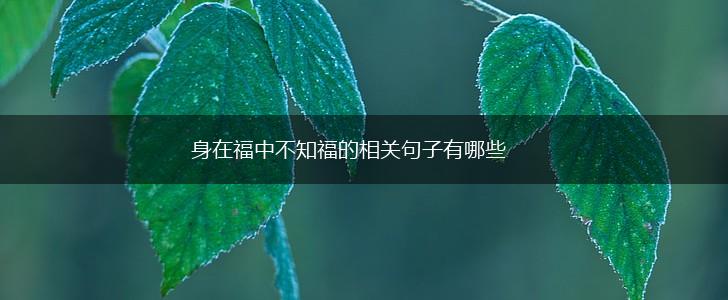 身在福中不知福的相关句子有哪些,第1张