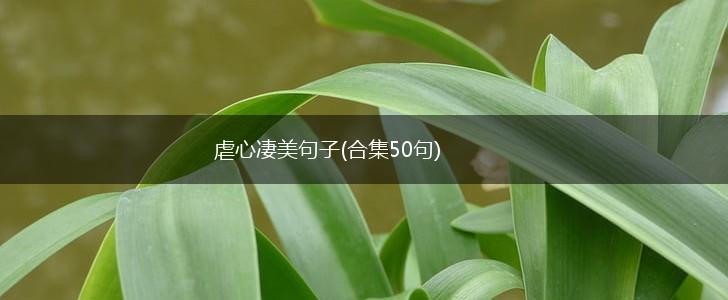 虐心凄美句子(合集50句),第1张