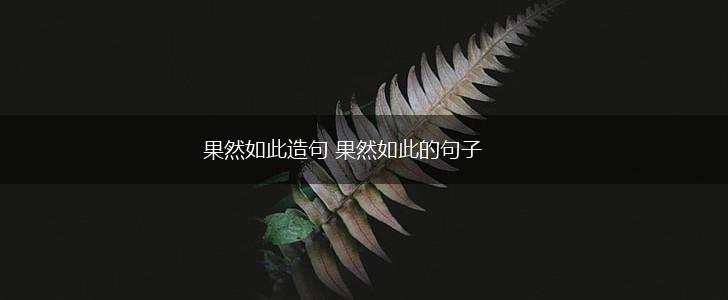 果然如此造句 果然如此的句子,第1张